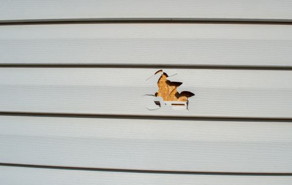 Cost of Siding Hole Patching in Gainesville
