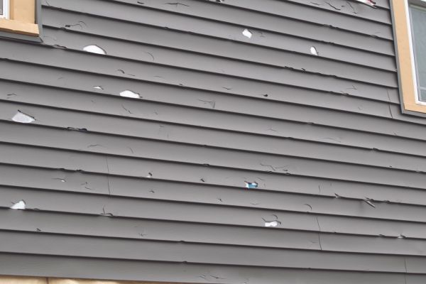 Cost of Damaged Siding Replacement in Gainesville