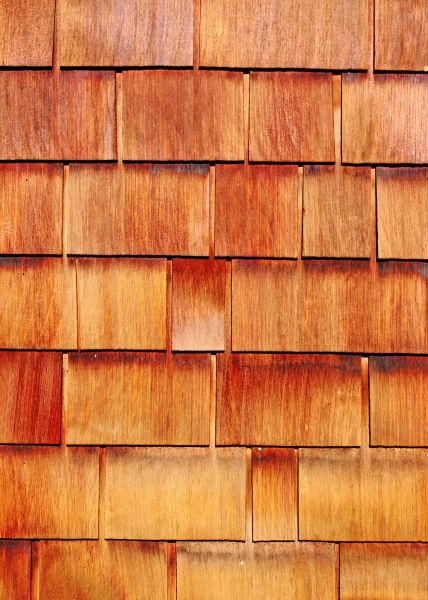 Cost of Wood Siding Replacement in Gainesville