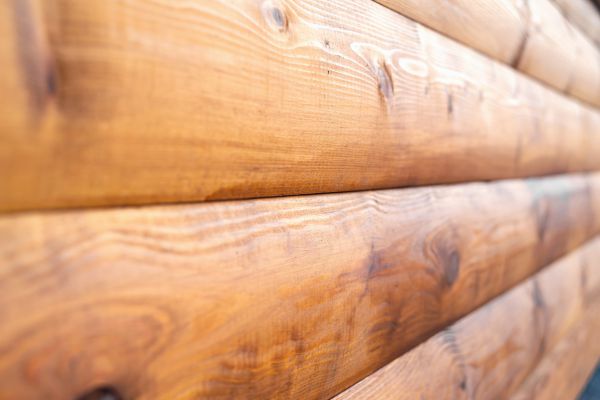 Cost of Log Siding Replacement in Gainesville